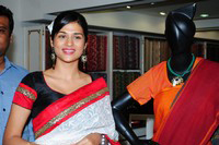 Shraddha Das Saree Stills